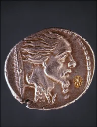 Profil présumé de Vercingétorix sur une pièce gauloise. Museo del Medagliere. Milan