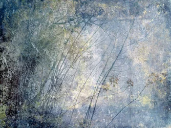 Forêt hivernale éthérée