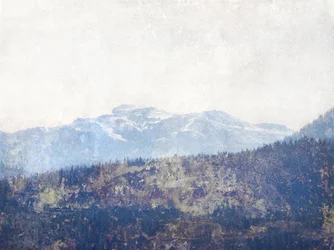 La forêt de Misty Mountain