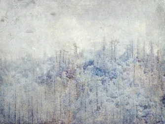 Arbres enneigés sereins