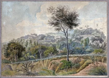 Paysage à La Réunion