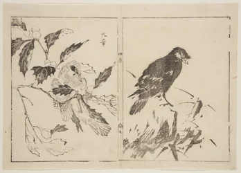 Deux pièces représentant des oiseaux et des fleurs (estampe sur bois en couleur)