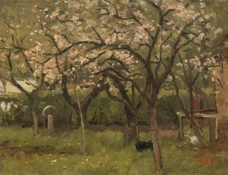 Arbre en fleurs dans un verger