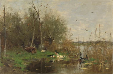 Canards à côté d