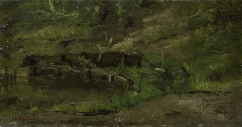 Paysage de prairie