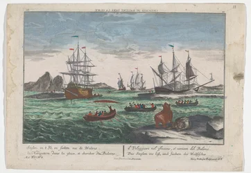 Vue de la recherche des baleines