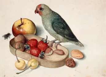 Nature morte avec inséparable