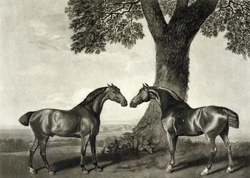 Deux chasseurs, gravé par G.T. Stubbs
