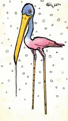 Cigogne avec des jambes calibrées
