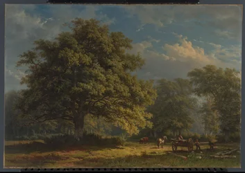 Vue sur la forêt de Bentheim