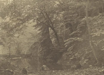 Piscine de brochet, années 1880, imprimé en 1888