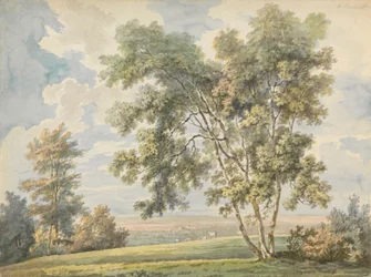 Paysage avec arbres et moutons (Paysage de parc avec moutons)