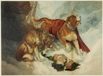 Les chiens du Saint-Bernard