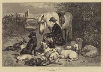 Garçon de chien et Clumber Spaniels