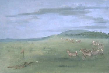 Tir de l