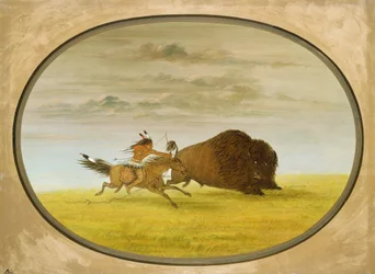 Chasse au bison