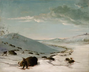 Buffalo Chase en hiver, les Indiens en raquettes