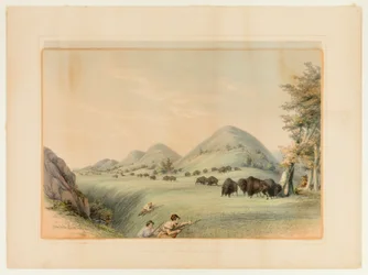 Chasse au bison ; approche dans un ravin--no. 11