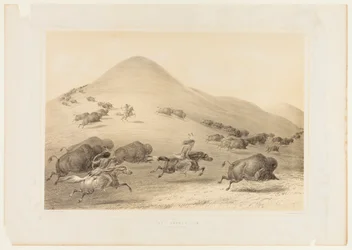 Chasse aux bisons, Chase--no. 6