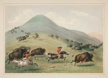 Chasse au bison, poursuite, pl. 6 du Portfolio des Indiens d