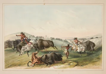 Chasse au bison, pl. 7 du Portfolio des Indiens d