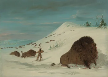 Lancement de buffles dans les congères - Sioux, 1861-1869