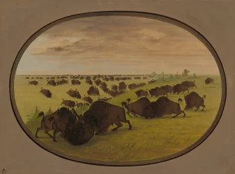 Combat de taureaux, 1861-1869