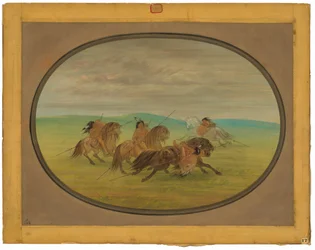Équitation Comanche