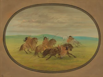 Équitation des Camanchee