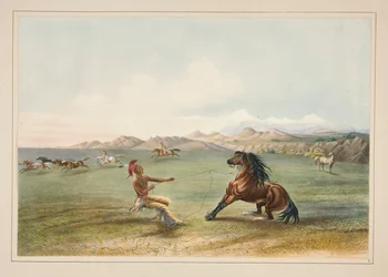 Attraper le cheval sauvage, pl. 4 du Portfolio des Indiens d
