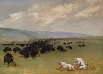 Catlin et son guide indien approchant des bisons sous des peaux de loup blanc