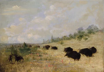 Wapitis et bisons paissant parmi les fleurs de la prairie, Texas