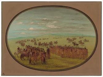 Course de chevaux - Minatarrees