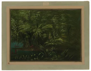 Forêt luxuriante sur la rive de l