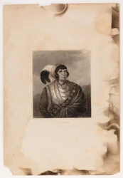 Osceola