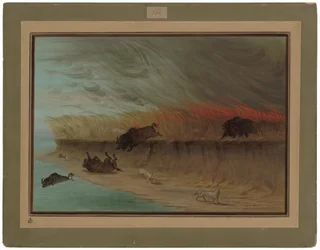 Brûlage des prairies