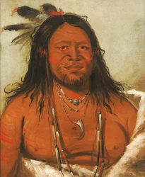 Ta-wáh-que-nah, montagne de rochers, deuxième chef de la tribu