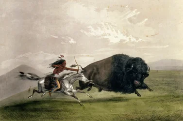 La Chasse au Bison 