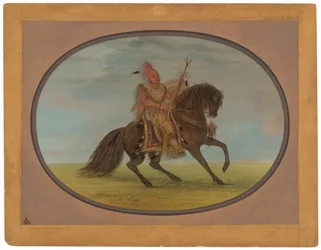Le Renard Courant sur un Beau Cheval - Saukie