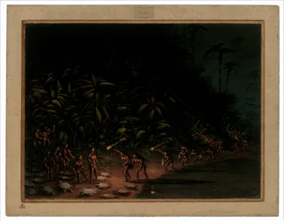 Chasse à la tortue