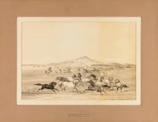 Les chevaux sauvages au jeu--no. 3