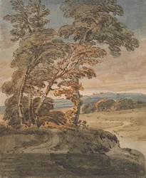 Arbres sur un chemin de colline