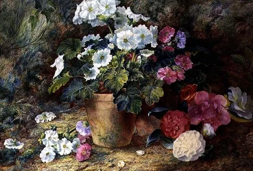 Nature morte de pélargoniums dans un pot avec des camélias