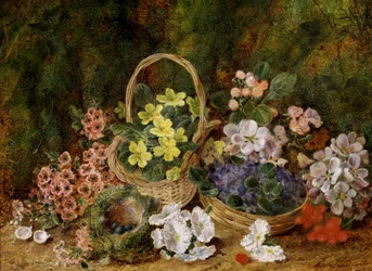 Fleurs de printemps et nid d