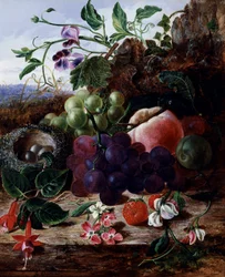 Nature morte de fruit, fuschia et nid d