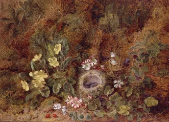 Nature Morte avec Nid d