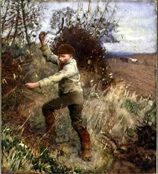 Garçon taillant une haie
