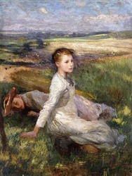 Été dans les champs
