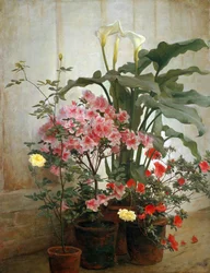 Côté d
