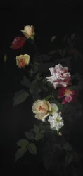 Nature morte